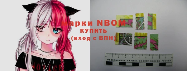 СК Вяземский