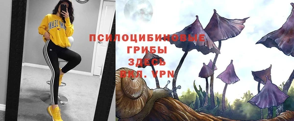 синтетический гашиш Вязники