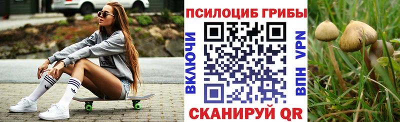 Галлюциногенные грибы мицелий  где купить наркоту  blacksprut как зайти  Медногорск 