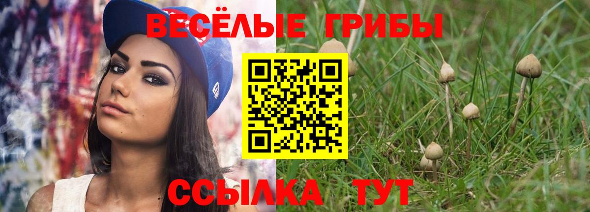 Медногорск  Галлюциногенные грибы Psilocybe  даркнет сайт  Вход с VPN 