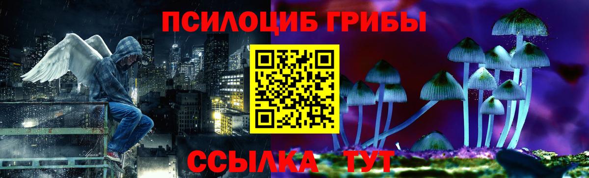 Галлюциногенные грибы мухоморы Медногорск